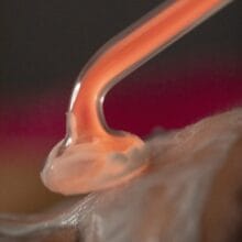 trattamento viso pelli grasse